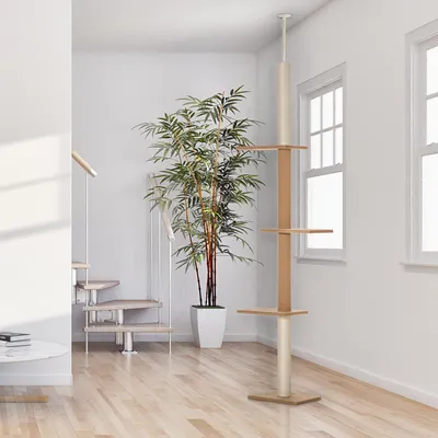 Image de Arbre à chat Kratzbaum, réglable en hauteur jusqu'au plafond, arbre d'escalade pour chats, en peluche, couleur kaki