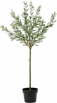 Obrázok produktu pre Umelá rastlina – olivovník, 150 cm, umelý olivovník v črepníku, nenáročný na údržbu, dekorácia