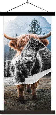 Produktbild von MuchoWow® Textilposter Schottisches Hochlandrind - Kuh - Tiere 60x120 cm mit schwarzem Rahmen - Magnete