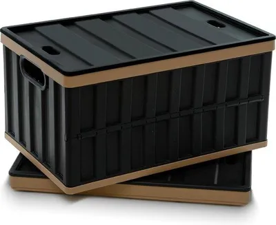 Produktbild von Famanu Faltbox Set von 2, 64 l - Schwarz