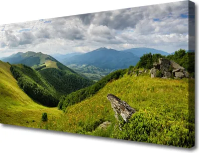 Produktbild von Tulup Leinwand-Bilder 100x50 Wandbild Canvas Kunstdruck Gebirge Wiese Landschaft