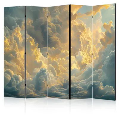 Immagine prodotto di Pannello divisorio a 5 ante, stampato su un solo lato, pieghevole, motivo "Cielo pieno di nuvole", dimensioni 225 cm x 172 cm
