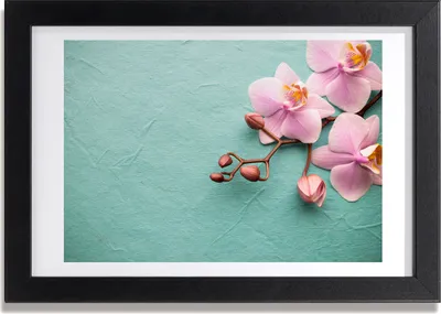 Produktbild von Bild 30x20 MDF-Rahmen, Wandkunst Orchidee