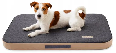 Produktbild von DOTTY Orthopädisches Hundebett Memory Foam Grau S
