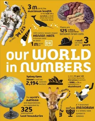 Immagine prodotto di Our World in Numbers