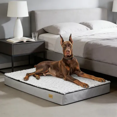 Image de WISFOR Lit orthopédique pour chiens Tapis pour animaux Lit pour chiens Canapé pour chats ménageant les articulations Lavable résistant à l'eau, XXL : 120 x 90 x 10 cm
