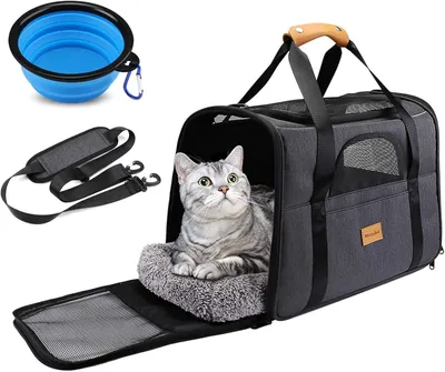 Produktbild von Morpilot Katzentransportbox für große Katzen und Welpen bis 7kg, Katzenbox Hunde