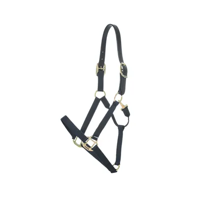 Image de Kentucky Horsewear Licol en nylon Breakaway