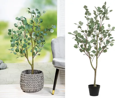 Produktbild von Gilde Kunstpflanze Eukalyptus im Topf 99350