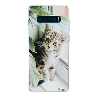 Produktbild von MuchoWow® Handyhülle Schutzhülle Hülle für Samsung Galaxy S10 Lite Katze - Kätzchen - Pflanzen Silikon Softcase Handy Hülle - Schutz