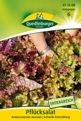 Produktbild von Pflücksalat Amerikanischer brauner (30 g) | Pflücksalatsamen von Quedlinburger