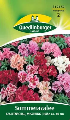 Produktbild von Sommerazalee, Azaleenschau, Mischung