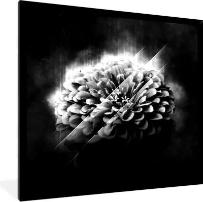Produktbild von MuchoWow® Gerahmtes Poster Rosen - Blumen - Licht - Schwarz - Weiß 40x40 cm - Poster mit Schwarzem Bilderrahmen Wandposter Rahmen Foto Bilder - Mit Rahmen - Wanddekoration Schlafzimmer