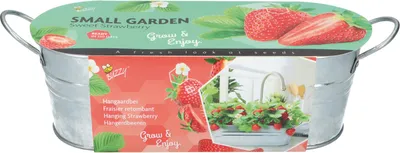 Produktbild von Anzuchtset Erdbeeren mit Zinkwanne | Anzuchtsets von Buzzy Gifts