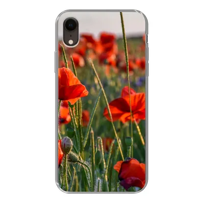 Produktbild von MuchoWow® Handyhülle Schutzhülle Hülle für iPhone XR Blumen - Mohnblumen - Natur - Rot Silikon Softcase Handy Hülle - Schutzdeckel