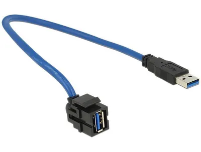 Produktbild von Delock - Modulare Eingabe - 50 cm - USB Type A
