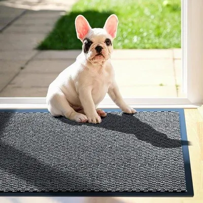 Produktbild von Famanu Türmatte für innen und außen - 43 x 60 cm, grau, rutschfest, waschbar, für Eingänge und Terrassen