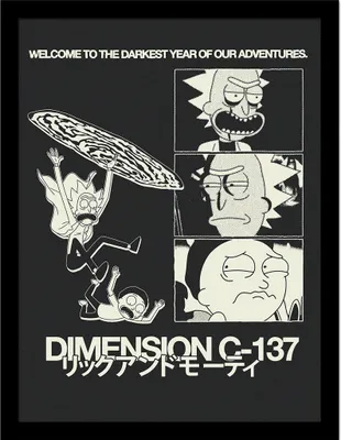 Produktbild von Rick And Morty - Gerahmtes Poster "Dimension C-137" PM10924 (40 cm x 30 cm) (Schwarz/Weiß)