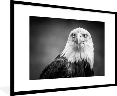 Produktbild von MuchoWow® Gerahmtes Poster Adler - Raubvogel - Schwarz - Weiß - Tiere 90x60 cm - Poster mit Schwarzem Bilderrahmen Wandposter Rahmen Foto Bilder - Wanddekoration - Fotos