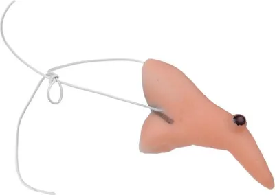 Immagine prodotto di Il naso della strega