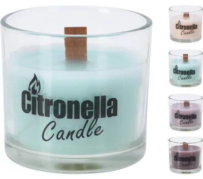 Image de Bougie à la citronnelle Pro Garden en pot