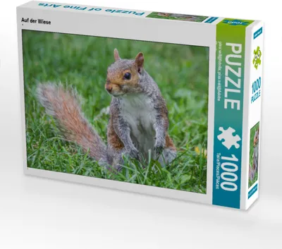 Produktbild von CALVENDO Puzzle Auf der Wiese | 1000 Teile Lege-Größe 64x48cm Foto-Puzzle für glückliche Stunden