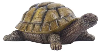 Image de Statue de tortue de jardin en résine synthétique – Figurine animalière réaliste en 3D pour le jardin, l'étang ou le balcon – Figurine décorative d'extérieur résistante aux intempéries et aux UV