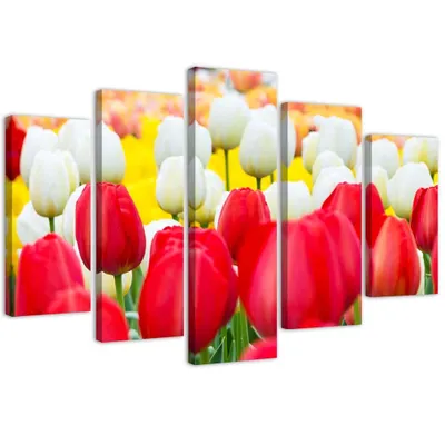 Produktbild von 5-teiliges leinwandbild weiße und rote tulpen 200x100 cm Feeby rot wandbild bereit zum aufhängen