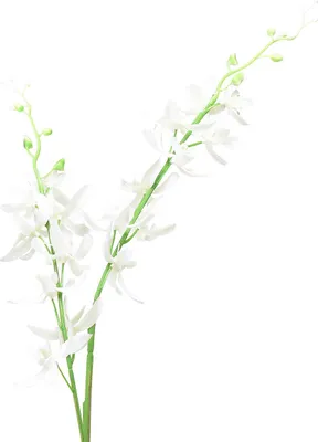 Produktbild von Künstliche Orchideen Deko-Blume Oncidium für stilvolle Arrangements