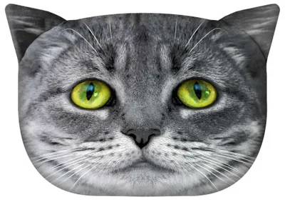 Produktbild von Dekokissen Sofakissen CAT »Lolek« PT12