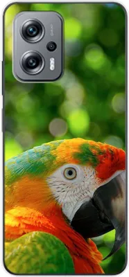 Produktbild von König Design Hülle kompatibel mit Xiaomi Redmi K50i Kunststoff Soft Handyhülle - Handy Case Papagei