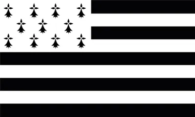 Produktbild von Fahne Bretagne Supporter 150 x 90 cm - Einheitsgröße
