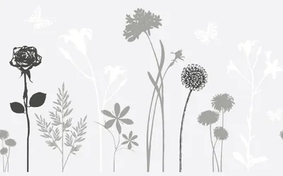 Produktbild von d-c-fix Folie static premium Blossom 45 cm x 1 m