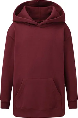 Obrázek produktu pro Dětská mikina s kapucí
