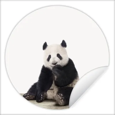 Produktbild von MuchoWow® Runde Wandtattoo - Wandsticker Tapete Aufkleber Panda - Tiere - Jungen - Mädchen - Pandabär Ø 80 cm Selbstklebend und Repositionierbar - Wandaufkleber - Kreis - Mauerkreis - Wand Bilder - Wandsticker - Wohnzimmer Dekoration - Dekoration für die Wände - Aluminium - Babyzimmer