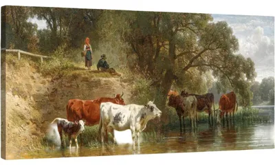 Zdjęcie produktu dla Obraz na Płótnie Drewniana Rama Bydło nad Rzeką Nowoczesny 50 x 100 cm