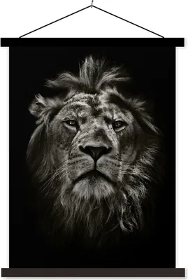 Produktbild von MuchoWow® Textilposter Tiere - Schwarz - Weiß - Porträt 90x120 cm mit schwarzem Rahmen - Dekoration