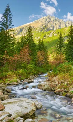 Produktbild von Fototapete - Valley 150x250cm - Vliestapete