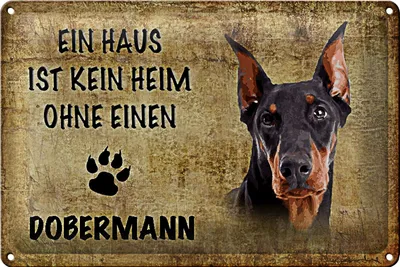 Produktbild von Blechschild Dobermann 30x20cm Haus ist kein Heim ohne