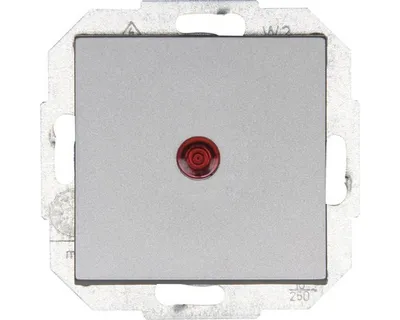 Produktbild von Kopp 588668557 Kontrollschalter Athenis 55 stahlfarben