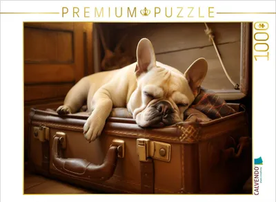 Produktbild von CALVENDO Puzzle Ein Motiv aus dem Kalender "Lieblingsschlafplätze" | 1000 Teile Lege-Größe 64x48cm Foto-Puzzle für glückliche Stunden