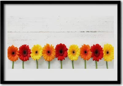 Produktbild von Bild 100x70 MDF-Rahmen Wandkunst Blumen Pflanzen Natur