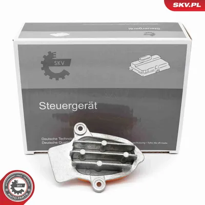 Produktbild von ESEN SKV 59SKV243 Blinkgeber Blinkerrelais für BMW X1 (F48)