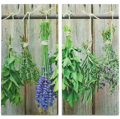 Produktbild von Zeller Herdabdeck-/Schneideplatten "Kräuter", 2-er Set, 30 x 52 cm, 26300
