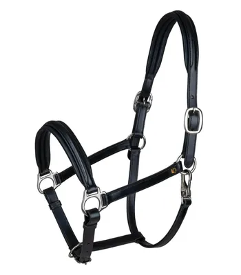 Image de Waldhausen Licol en cuir S-Line Classy
