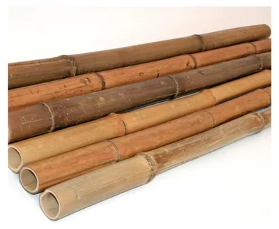 Produktbild von Bambusrohr 200 cm hitzebehandelt mit 1,8 - 3,5 cm Durchmesser