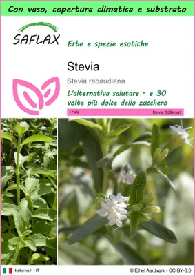 Immagine prodotto di SAFLAX Garden to go - Stevia - 100 semi - Stevia