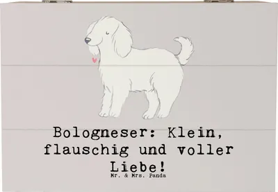 Produktbild von Mr. & Mrs. Panda Schatulle Bologneser Liebe 22 x 15 cm - Grau Pastell - Geschenk, Hunderassen Charakter, Hunderasse, liebenswürdig, Pflege, Kiste, kleine Hunde, fotobox