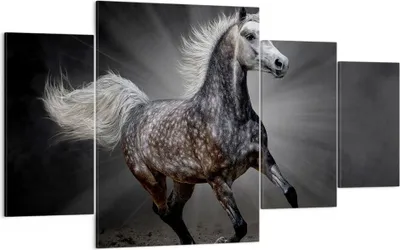 Produktbild von Bild auf Leinwand - Leinwandbild - Pferd Tier Natur - 160x90cm - Wand Bild - Wanddeko - Wandbilder - Leinwanddruck - Bilder - Kunstdruck - Wanddekoration - Leinwand bilder - Wandkunst - DL160x90-3593