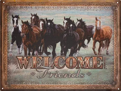Produktbild von Moritz Blechschild 33 x 25 cm Welcome Friends Pferde Rudel Deko Metallschild Retro Vintage Retro Sprüche lustig